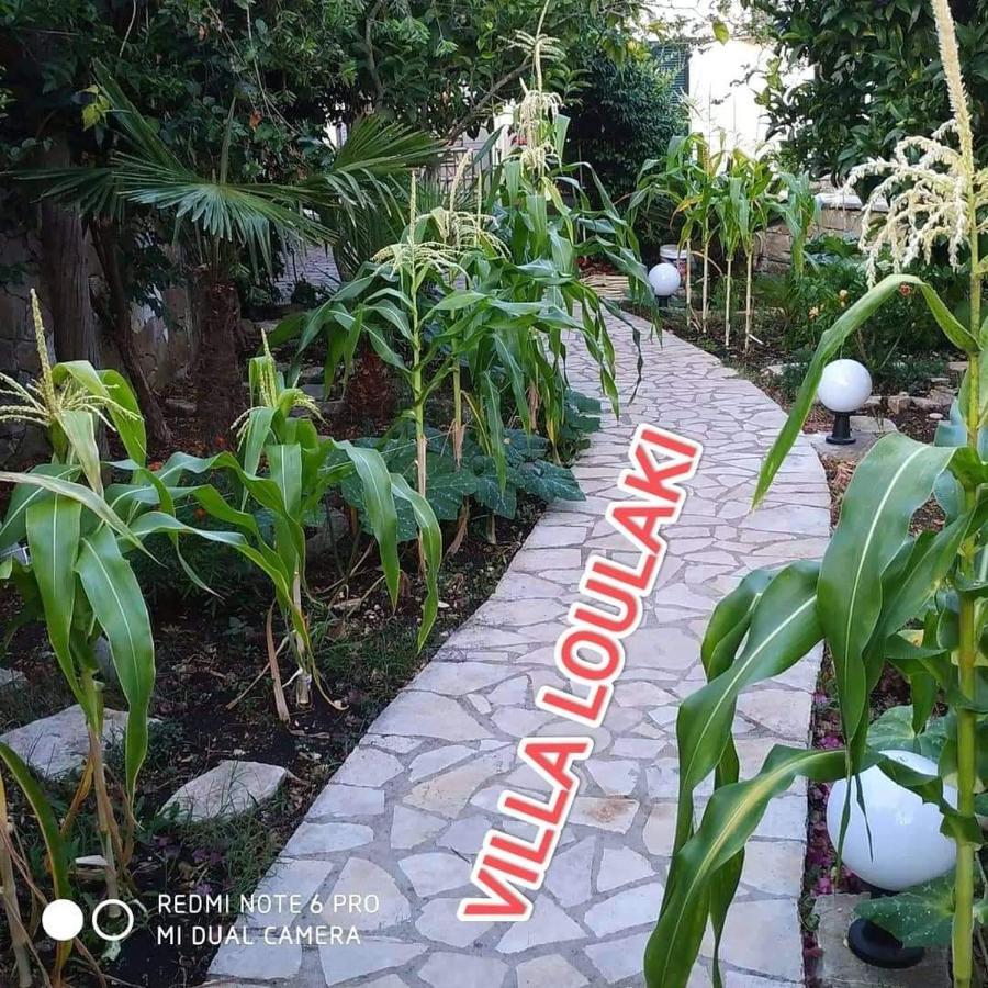 Villa Loulaki Magazia Paxi Arvanitakeika Kültér fotó