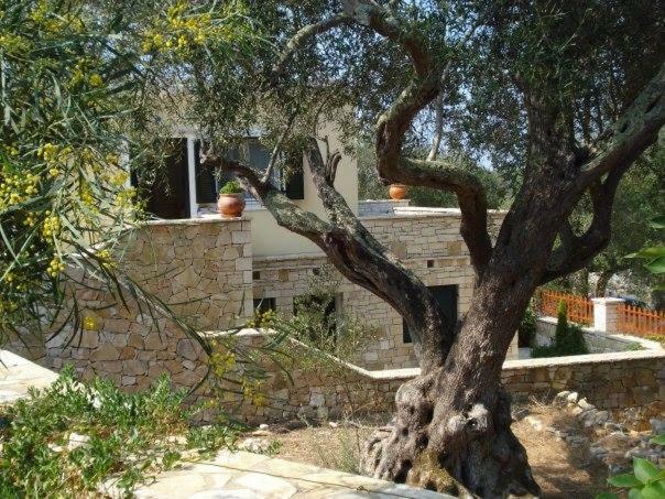 Villa Loulaki Magazia Paxi Arvanitakeika Kültér fotó